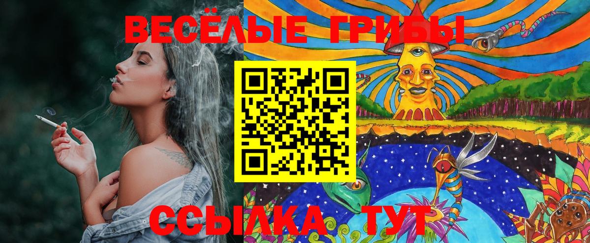 Каспийск  Галлюциногенные грибы прущие грибы  Вход с VPN 